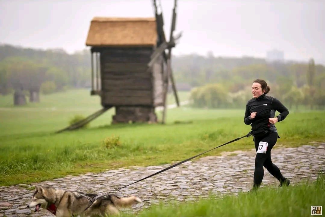 Еластичний повідець|монопотяг  для спорту та прогулянок, амортизація по всій довжині |WILL TO GO 67896563 фото