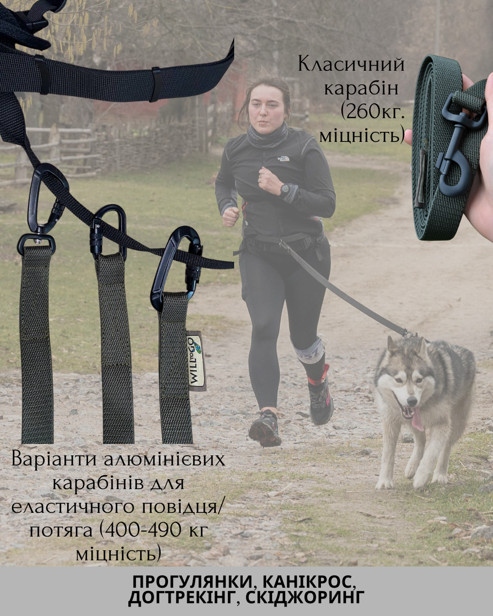 Еластичний повідець|монопотяг  для спорту та прогулянок, амортизація по всій довжині |WILL TO GO 67896563 фото