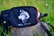 Canicross Belt with Pocket | GRAY HUSKY | Hands-Free for Running, Skijoring and Dog Trekking | WILL TO GO