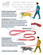Hands-free dog leash with dual length adjustment | WILL TO GO, Red Ethno