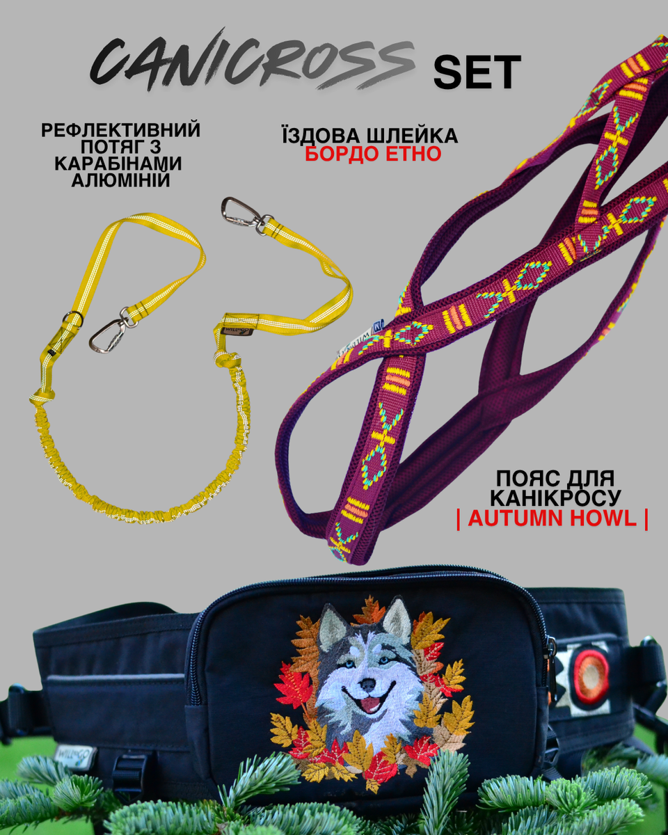 Комплект для канікросу, скіджорингу та догтрекінгу: пояс для бігу | амортизуючий потяг-банджі | їздова шлейка X-back 550 фото