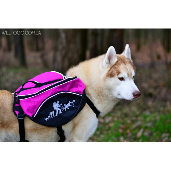 Шлея-рюкзак на собаку Will to go рожевий колір