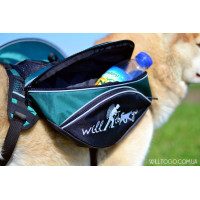 Шлея-рюкзак на собаку Will to go зеленый цвет